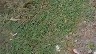 Prank Becak Motor Full Version